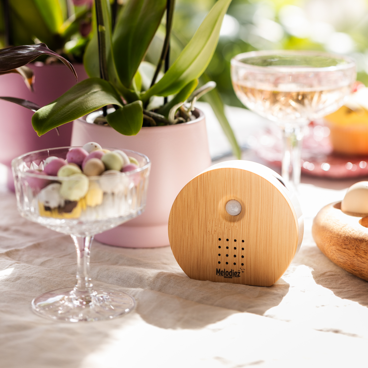 Melodiez bird sounds house with sensor - display box - incl. Batteries and 4 natural bird, ocean and jungle sounds - birdhouse with sound - Bird sounds house for the toilet for toilet