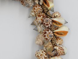 Muschelkranz 25 cm