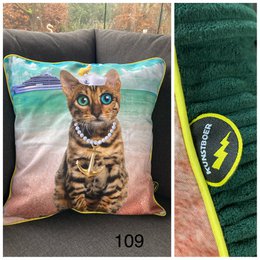 Kussenhoes (50x50cm) - Zeeman cat