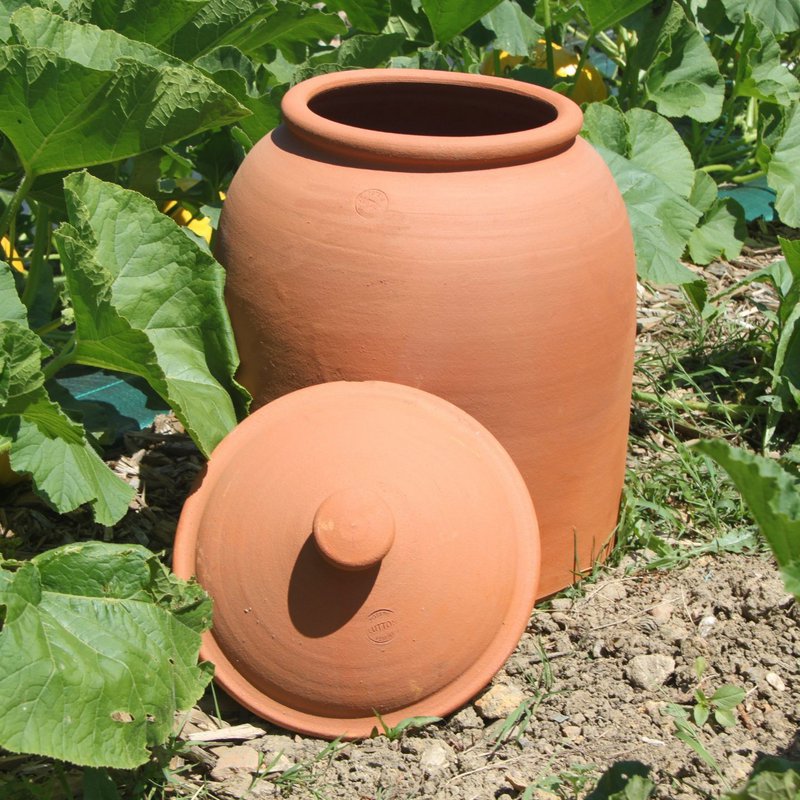 Rabarberpot