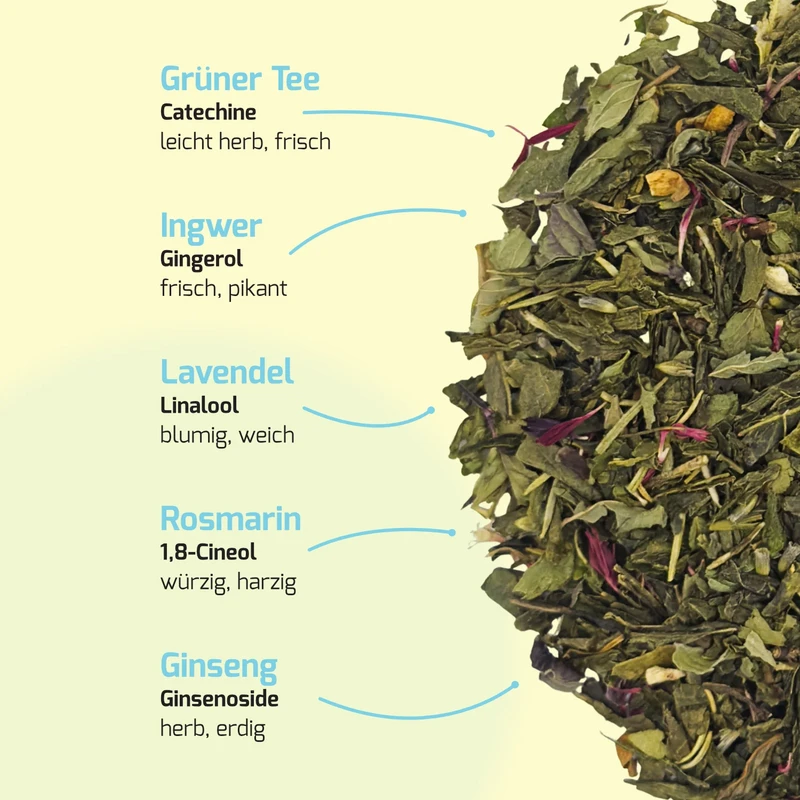 Esprit frais - Ingwer Lavendel | Bio-Tee