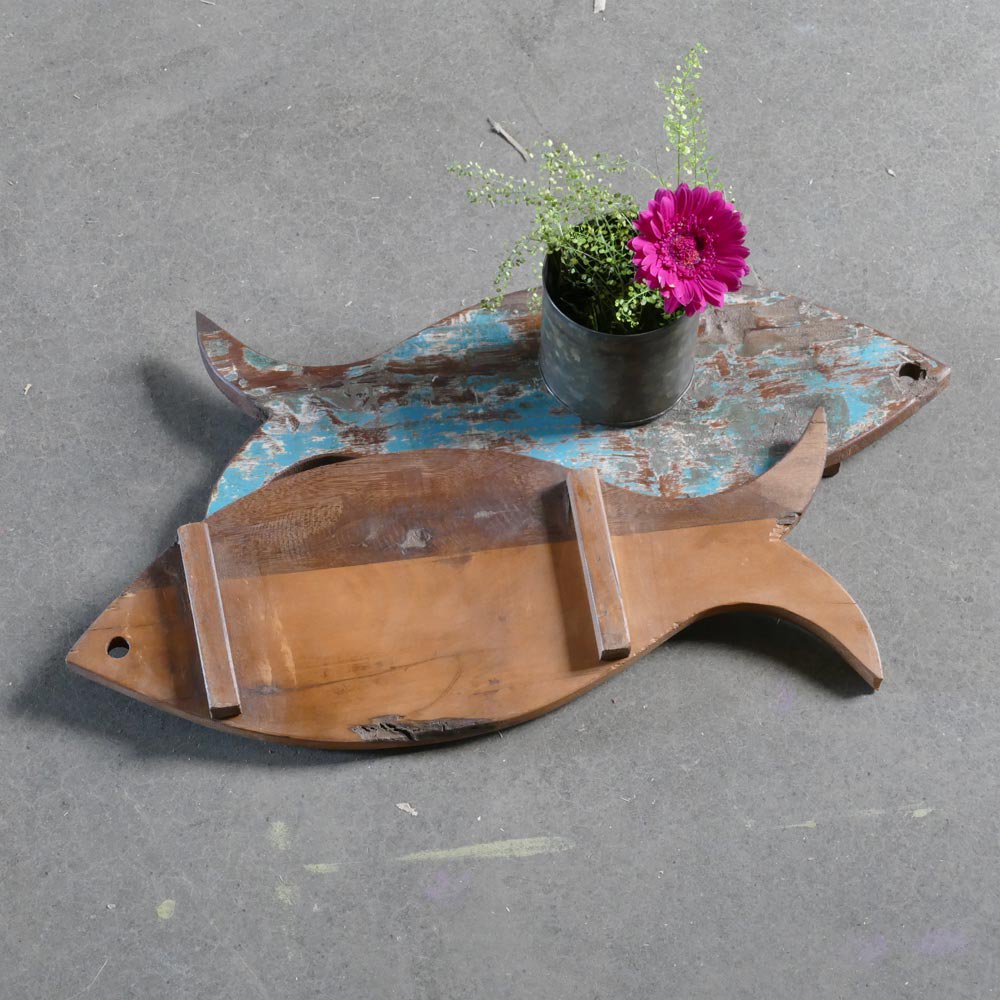 coaster fish