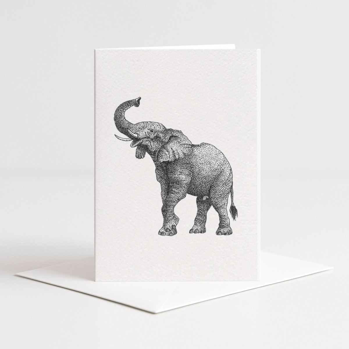 Kort elefant sort og hvid med konvolut