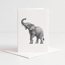 Kort elefant sort og hvid med konvolut