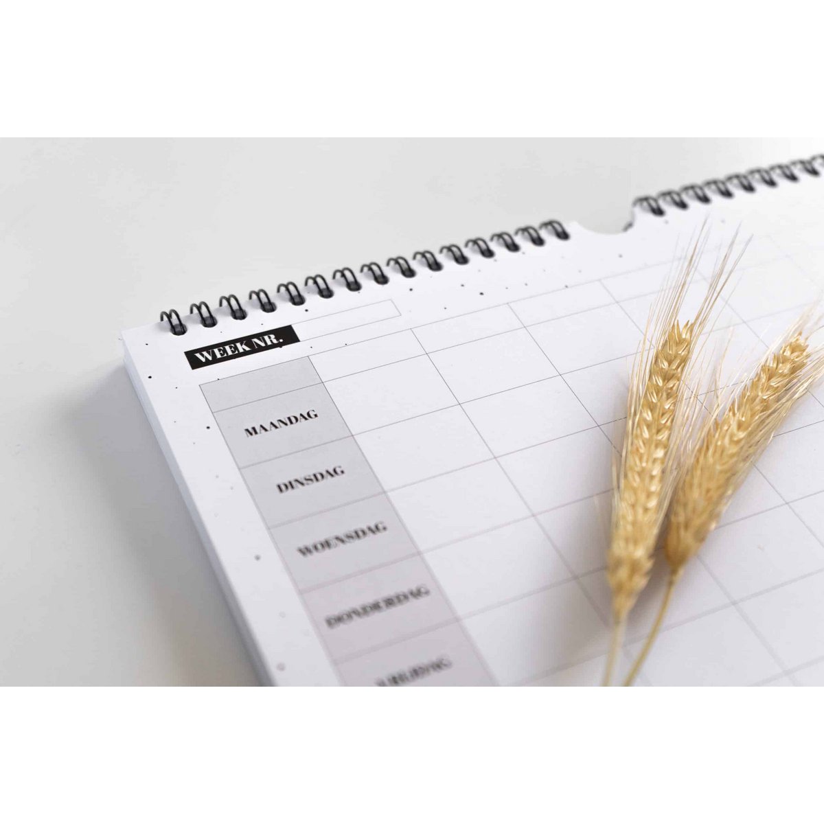 Family planner