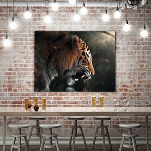 Majestic - plexiglasbild