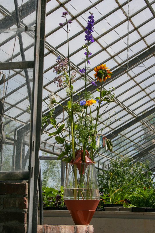 Laboratorio floral
