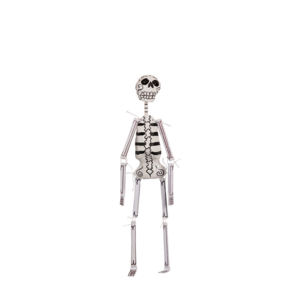 Kitsch Kitchen Folclorico skeleton paper marche