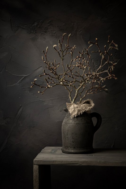Magnolia Stilleben