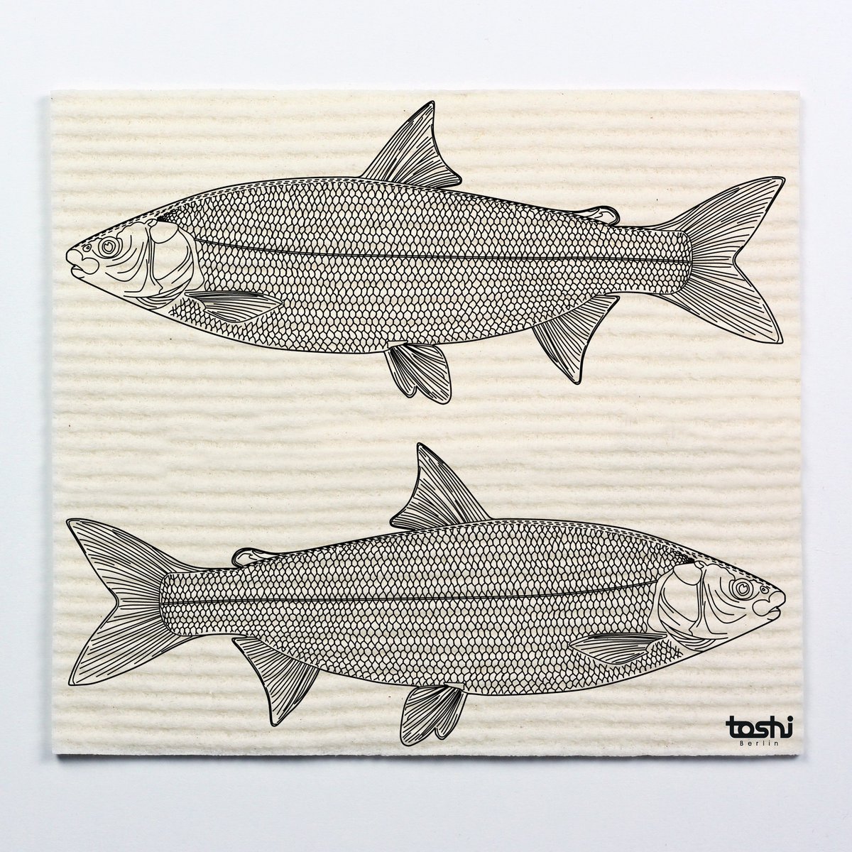 Sponge cloth furbi: fish