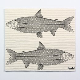 Svampedug furbi: fisk