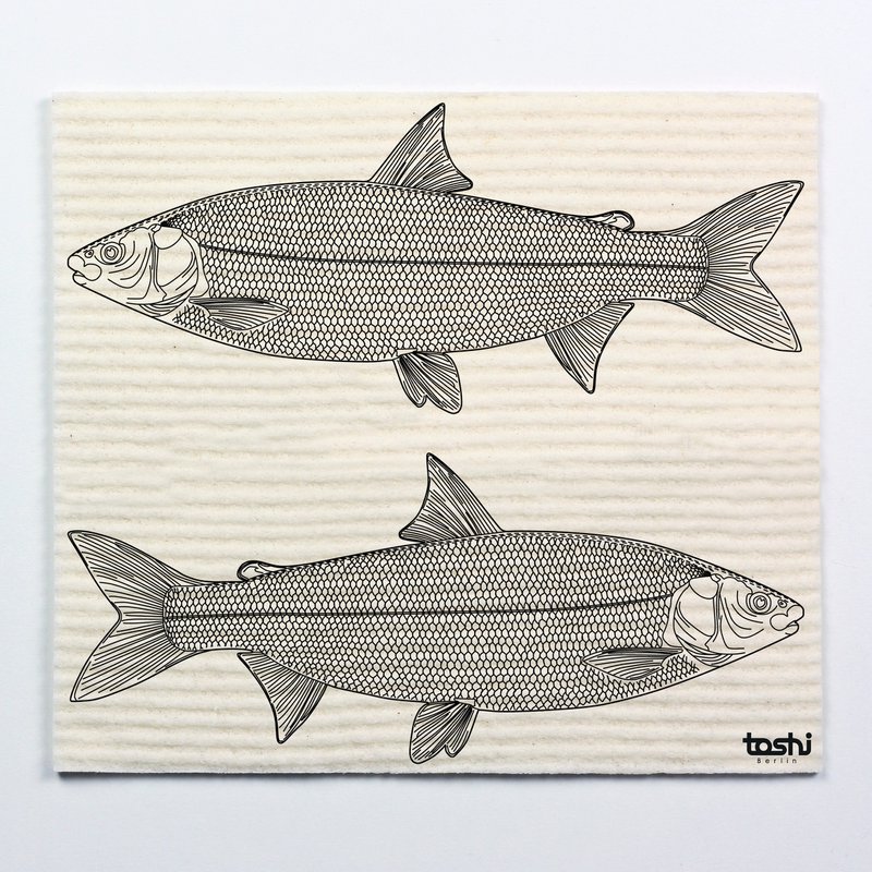 Svampedug furbi: fisk
