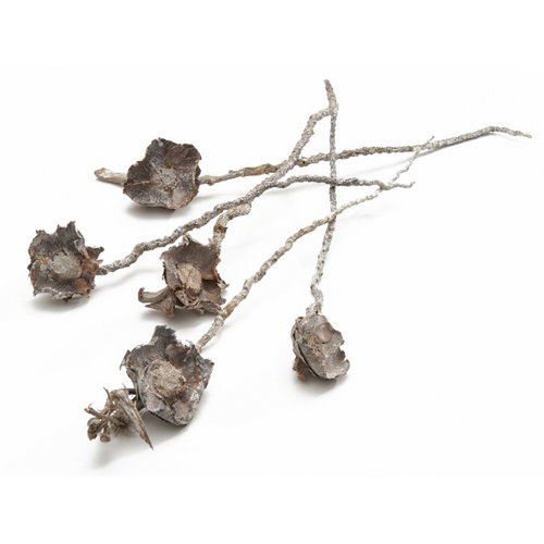 Palm blossom "Coco" on a stem, 50 pieces, 30cm, white wash