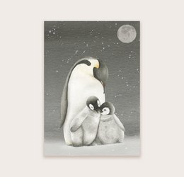 Pinguini da cartolina scuri