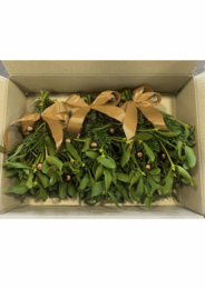 Caja de Navidad Muérdago - Cinta de bronce (8 paquetes de 3 racimos)