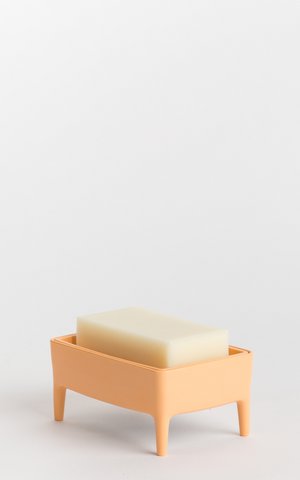 salmony bubble buddy kit including lemon soap bar