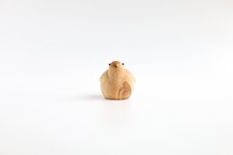 De kleintje vogel
