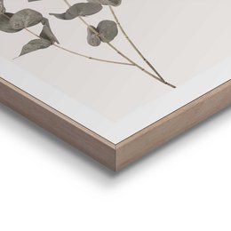 Malarstwo Slim Frame Eukaliptus 50x40