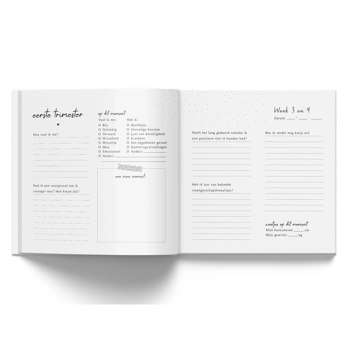 Fyllbooks Mi diario de embarazo - Lino Beige