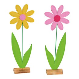 Wurm