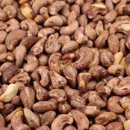 Cashewnüsse mit Vlies, gesalzen und geröstet (5 kg)