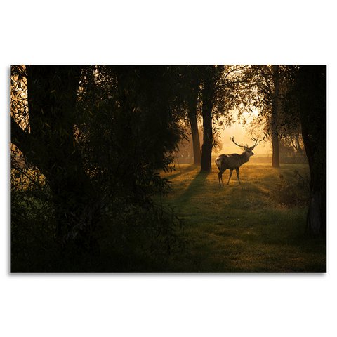 Acrylic glass picture - Dusky II
