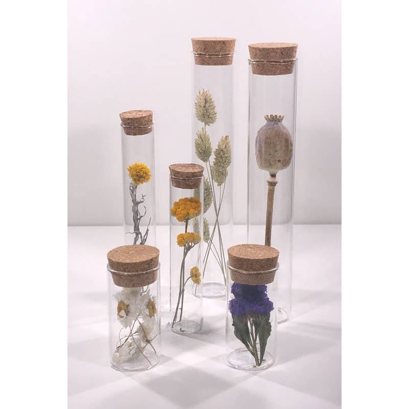 TUBE 15 CM WITH DRIED FLOWER - Gift