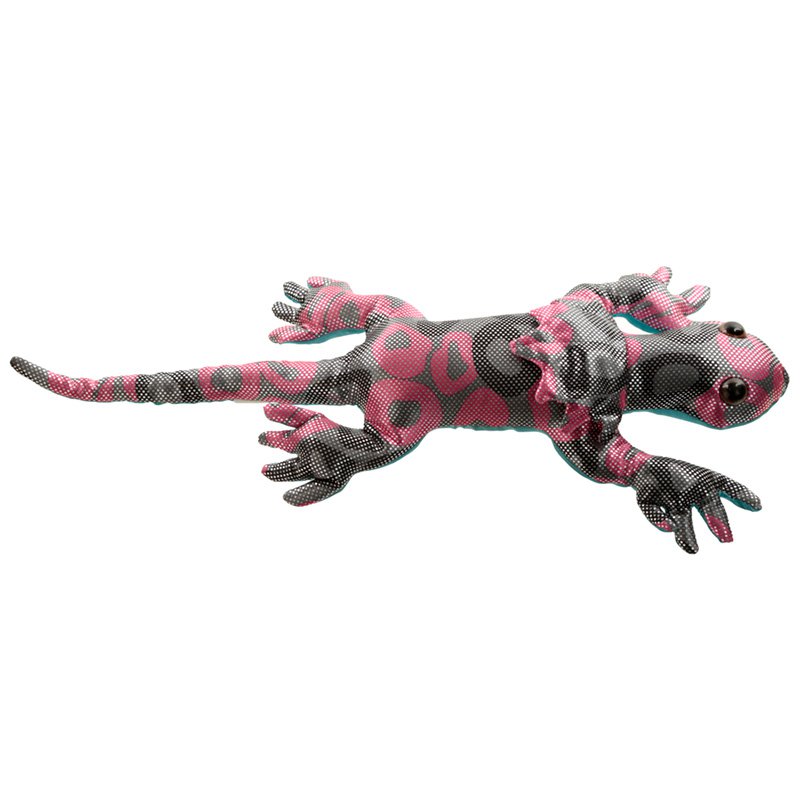 Frill Neck Lizard Large Sand Animal
