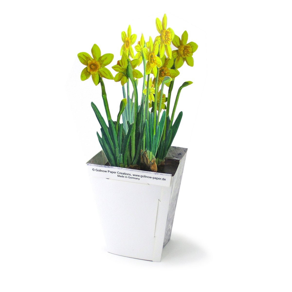 Jonquilles de carte de fleur 3D