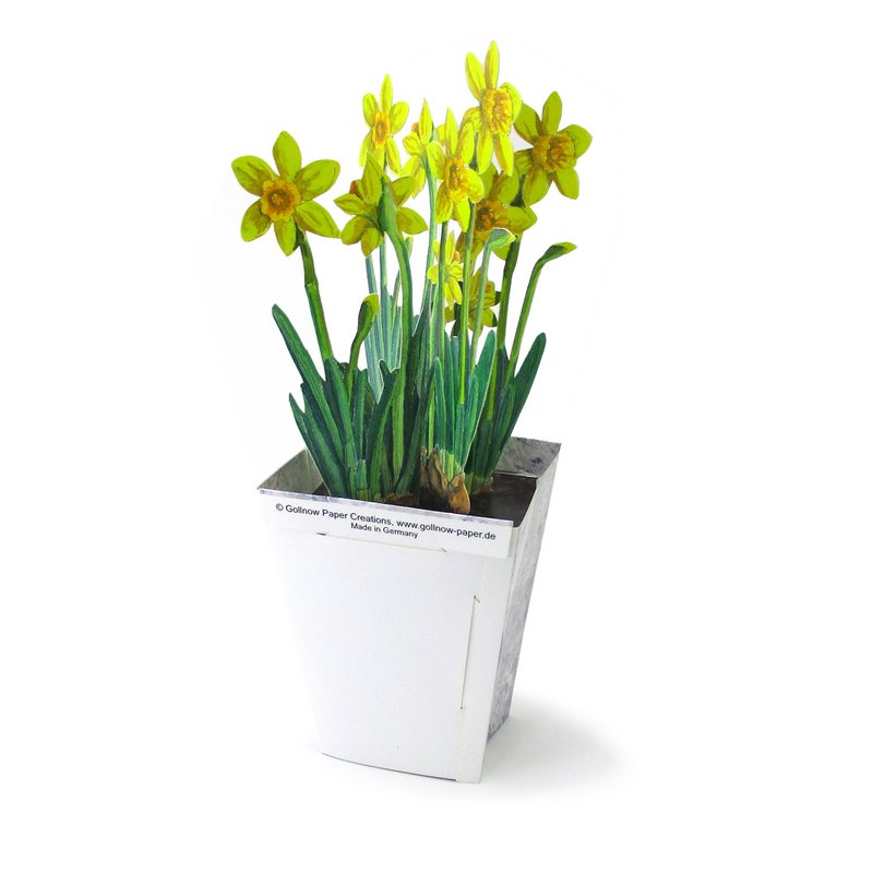 Jonquilles de carte de fleur 3D