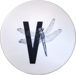 Letter board V with dragonfly