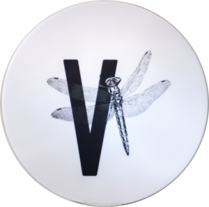 Letter board V with dragonfly
