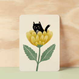 Postcard | Suprise