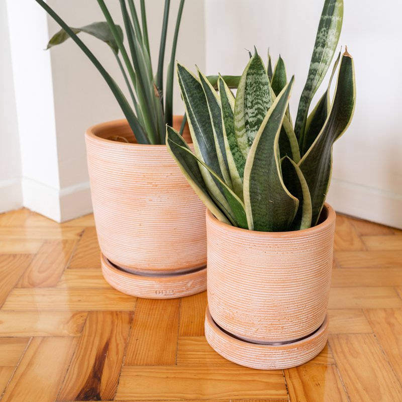 Bari ceramic vase plant handmade