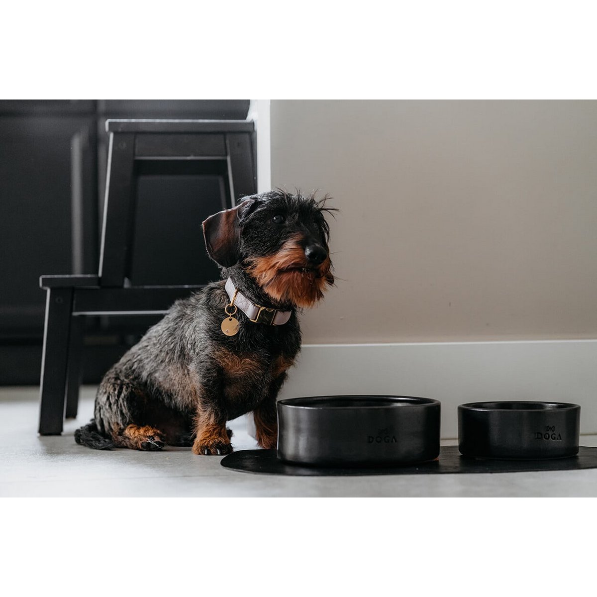 Tazón de comida para perros Etna negro