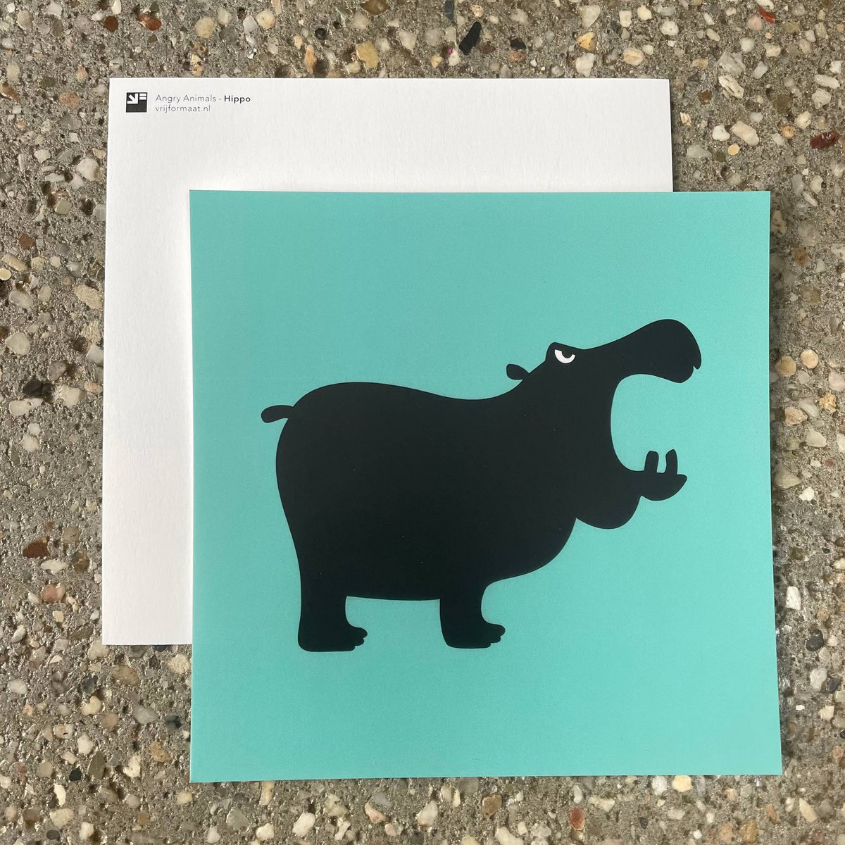 postcard - Hippo (Angry Animals)