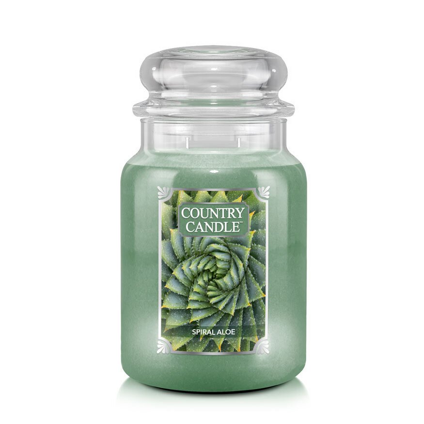 Bougie parfumée Spirale Aloès Large