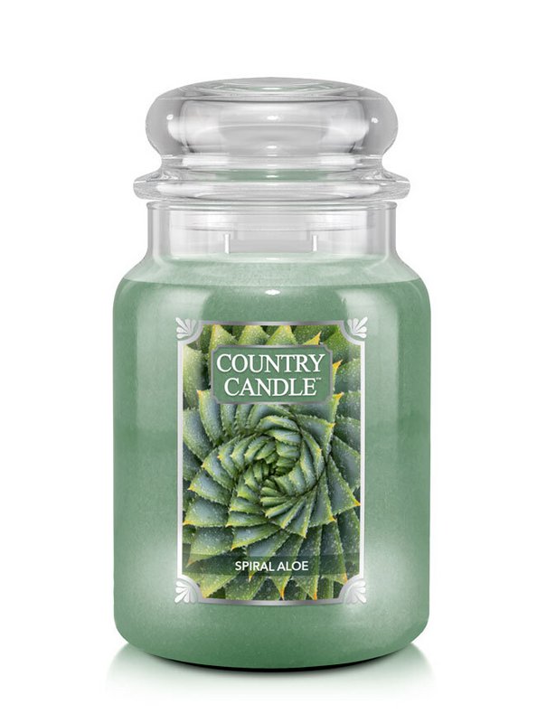 Bougie parfumée Spirale Aloès Large