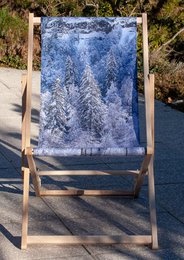 Transat - Chilienne - forêt de sapins - Design by Karadrone