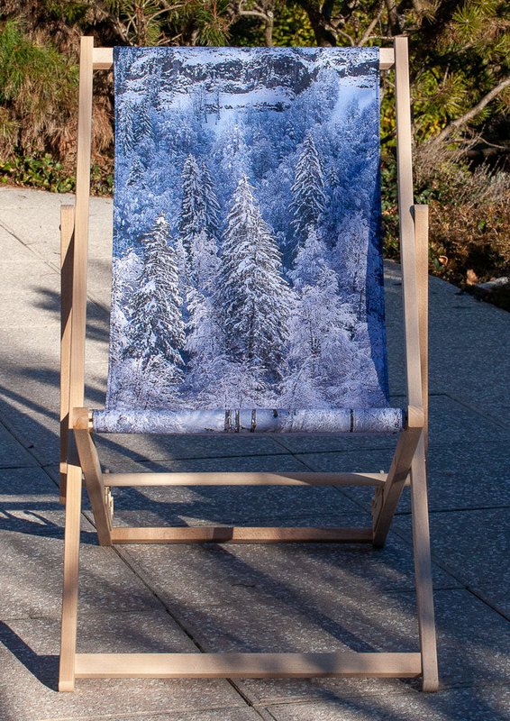 Transat - Chilienne - forêt de sapins - Design by Karadrone