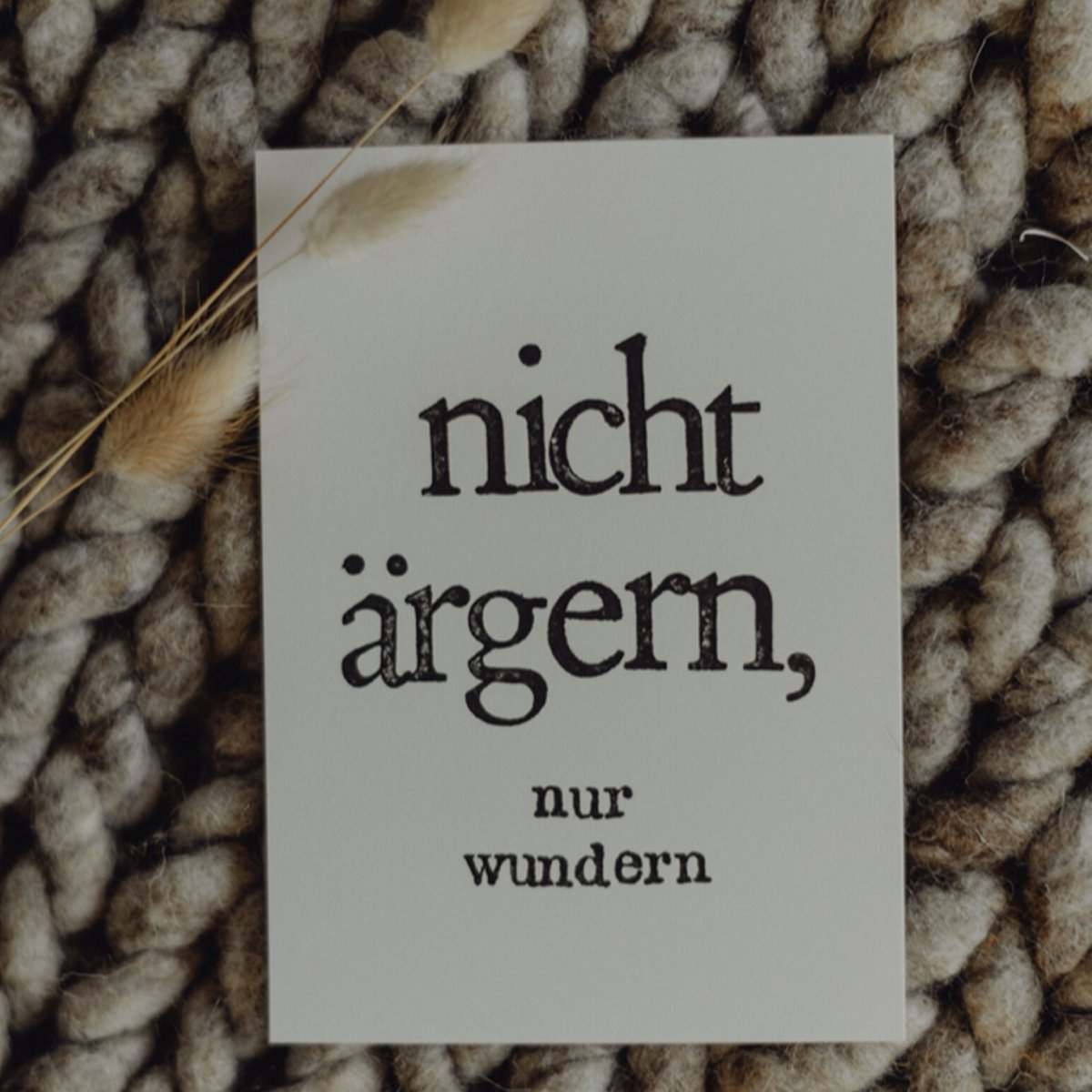 Cartolina affrancata "nicht aergern"