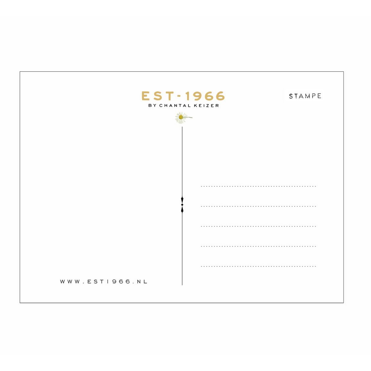 SPEDIZIONE N.3 | A6