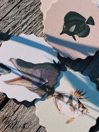 Sottobicchiere 10 motivi pesce - 12 set