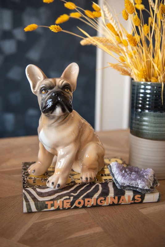 French Bulldog