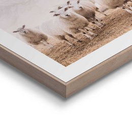 Gerahmtes Bild Slim Frame Schafe im Nebel 40x30