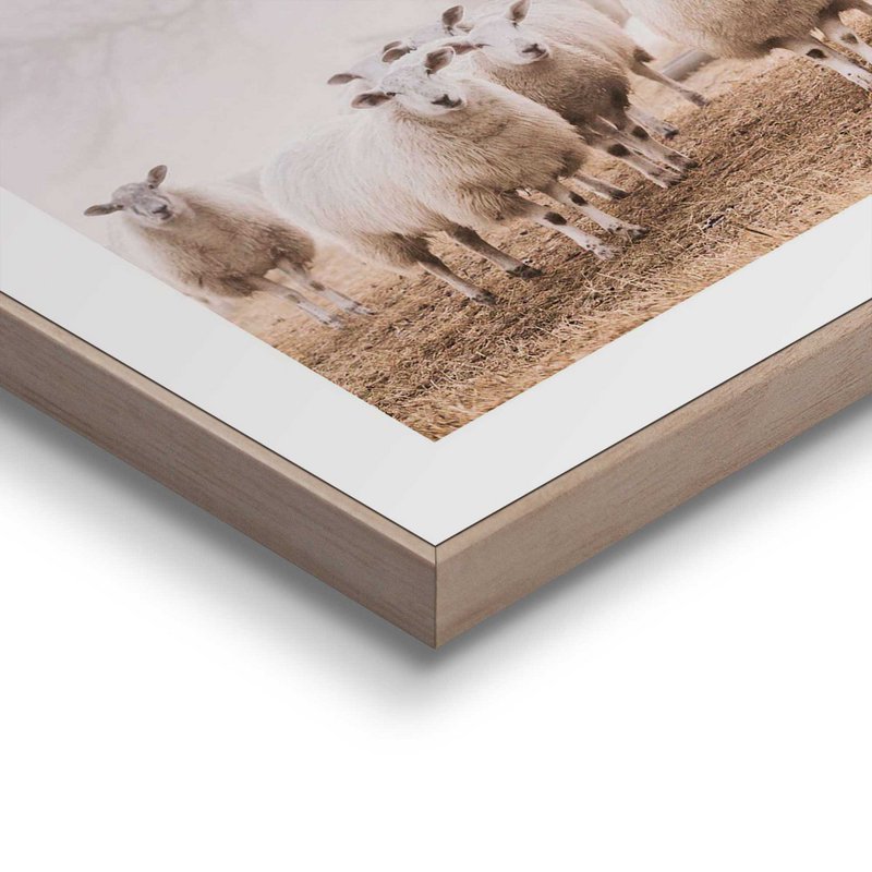 Gerahmtes Bild Slim Frame Schafe im Nebel 40x30