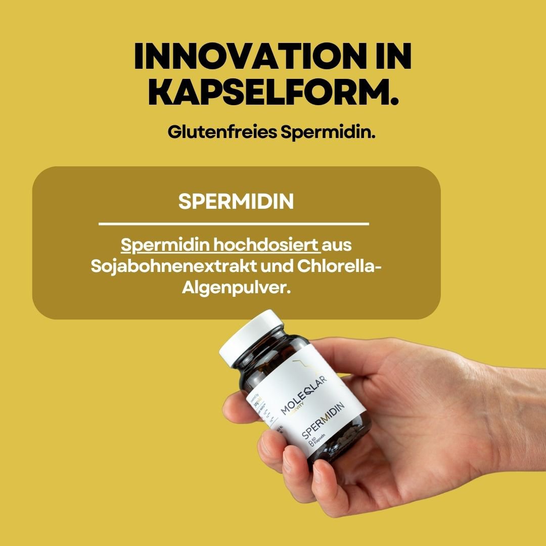 espermidina