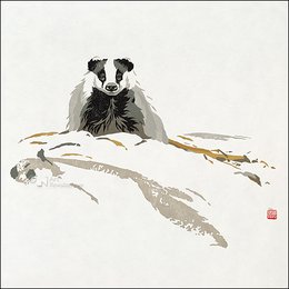 Card folder - Erik van Ommen, Hidden Nature