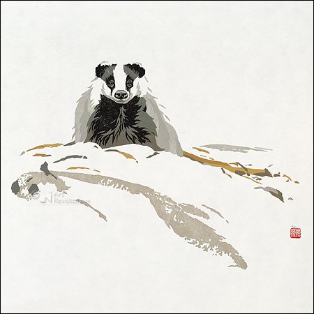 Card folder - Erik van Ommen, Hidden Nature