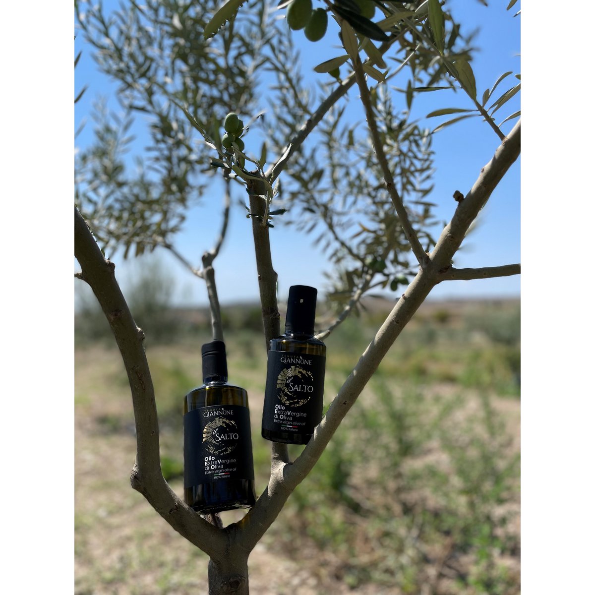 ITALIA | SICILIA | Extra Virgin Olive Oil - il SALTO | 250 ml